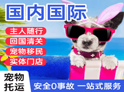 梅州机场快运国际宠物托运 【国
